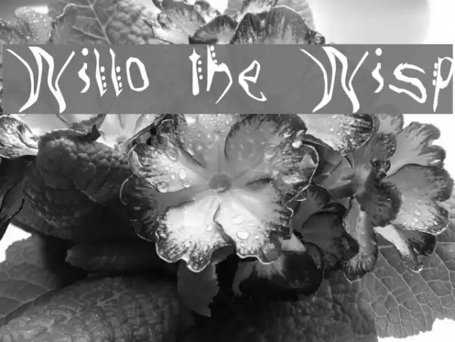 Willo the Wisp Font examples
