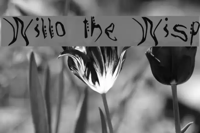 Willo the Wisp Font examples