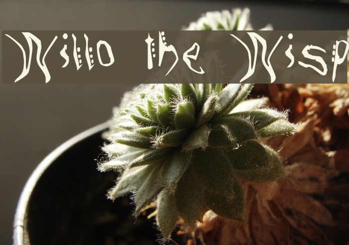 Willo the Wisp Font examples