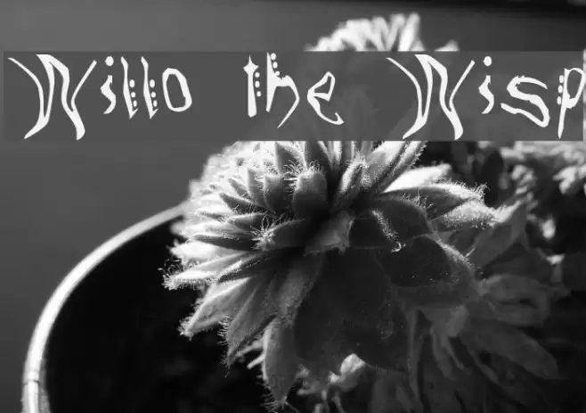 Willo the Wisp Font examples
