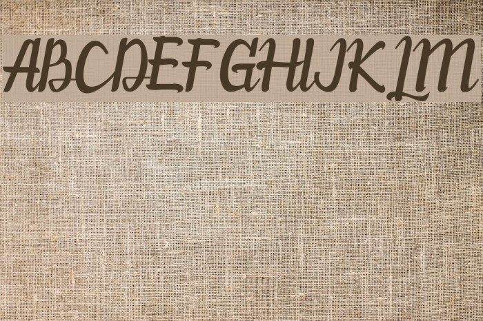 Willona - PU Font examples