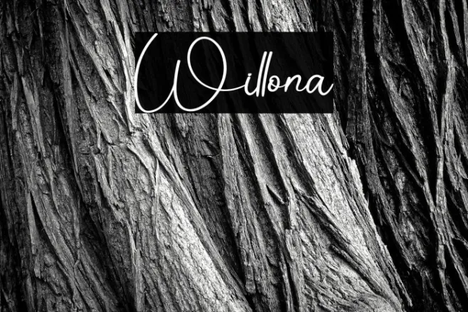 Willona Example 1