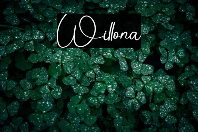 Willona Example 2