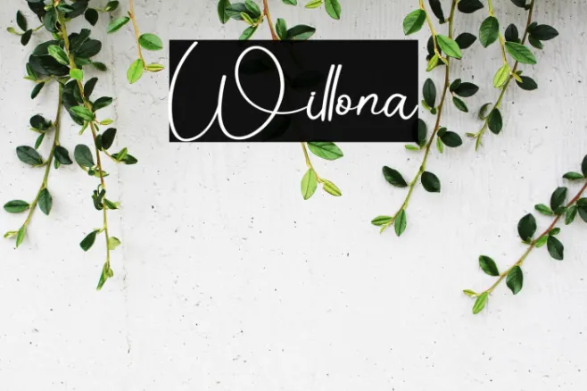 Willona Example 3