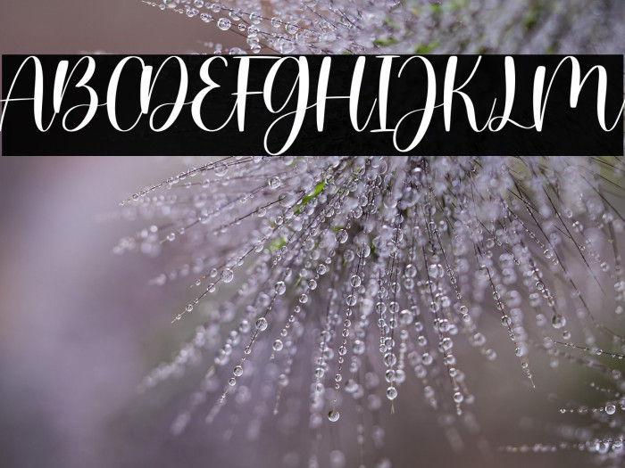 Willow Eden - Demo Version Example 2