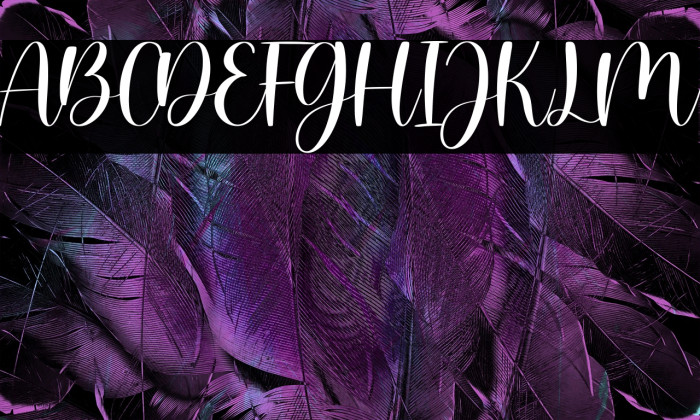 Willow Eden - Demo Version Example 3