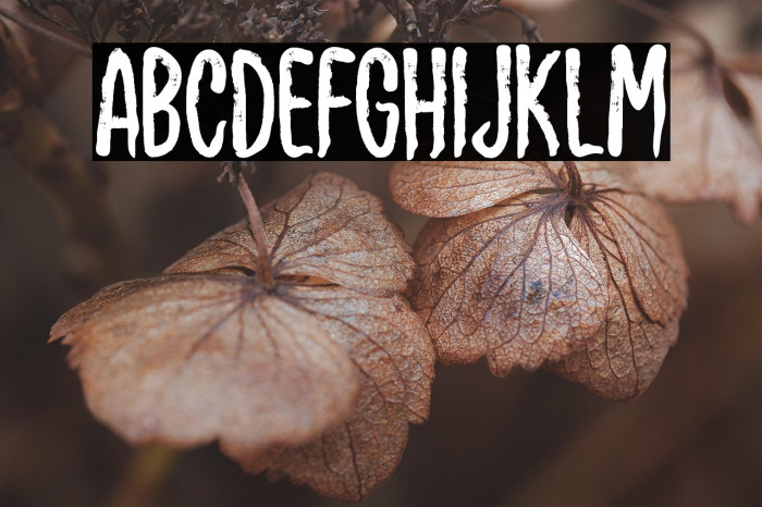 Willow Pumpkin Example 1