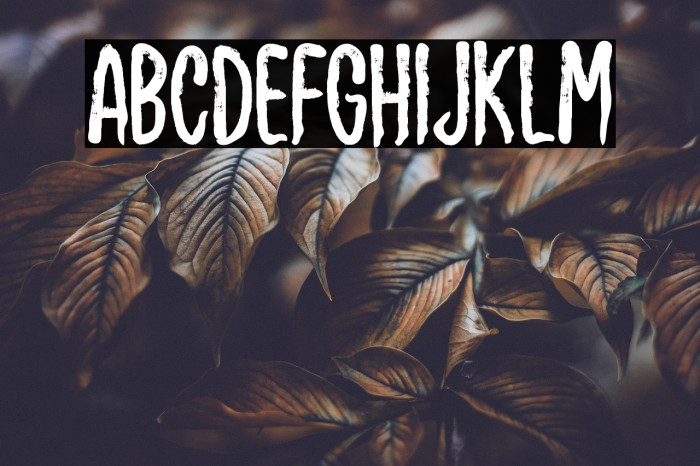 Willow Pumpkin Example 2