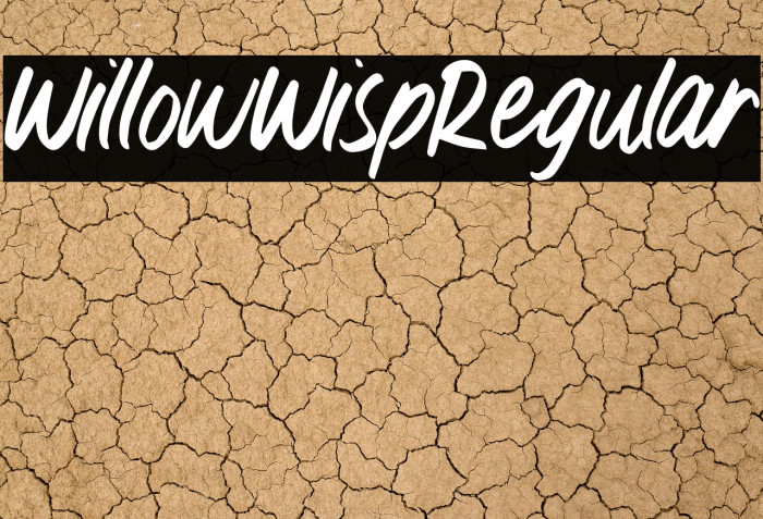 WillowWispRegular Example 1