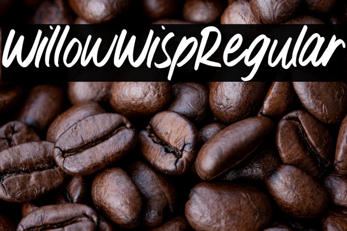WillowWispRegular Example 2