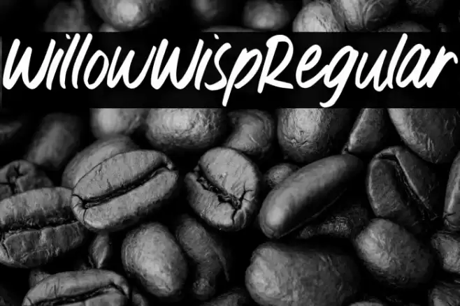 WillowWispRegular Font examples