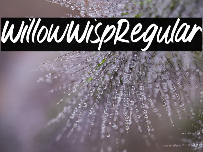 WillowWispRegular Example 3