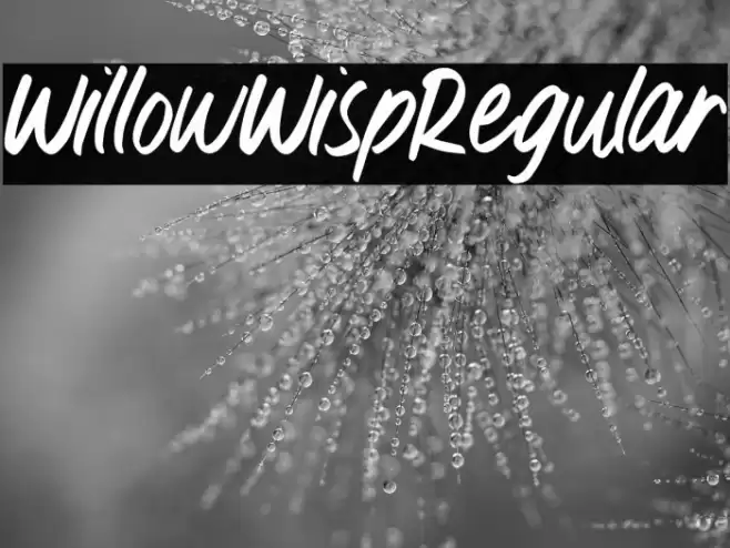 WillowWispRegular Font examples