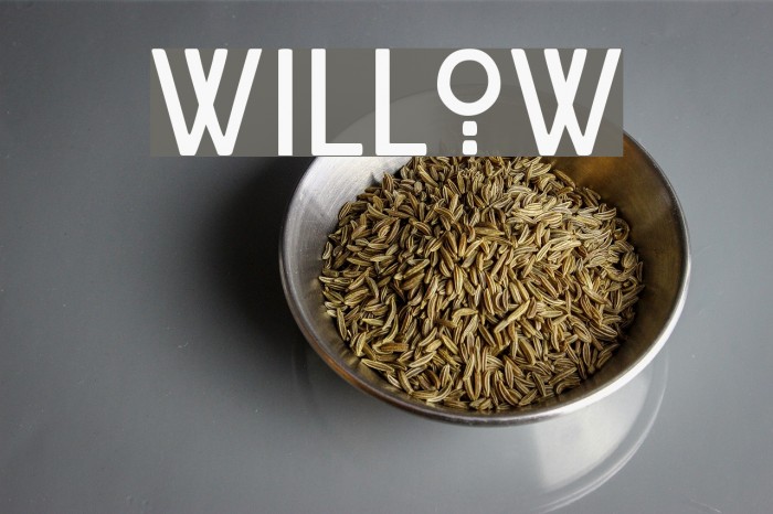 Willow Font examples
