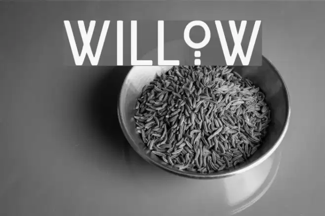 Willow Schriftart examples