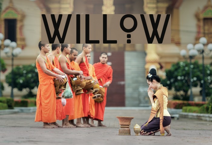 Willow Font examples