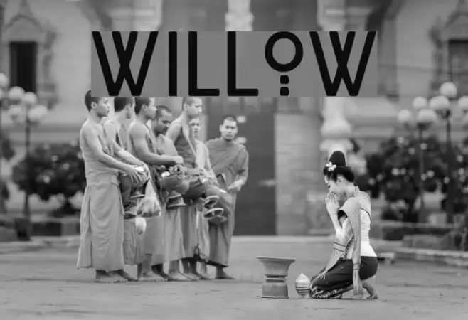 Willow Schriftart examples