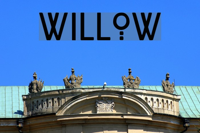 Willow Font examples
