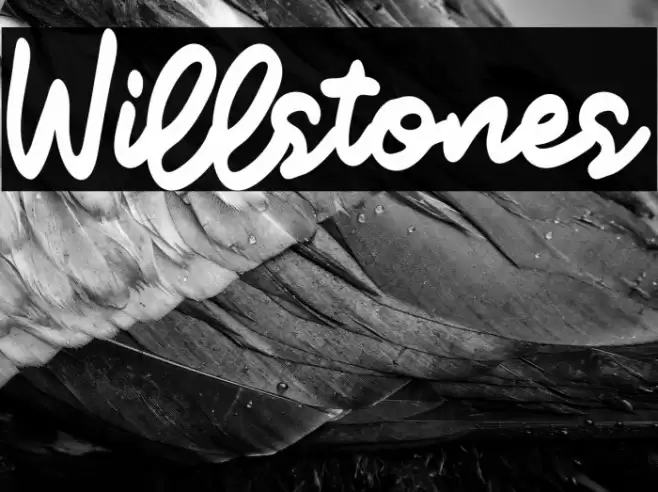 Willstones Font examples