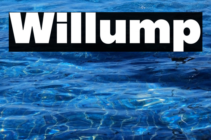Willump Example 1