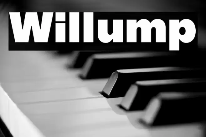 Willump خط examples