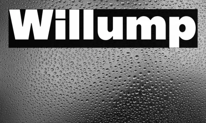 Willump خط examples