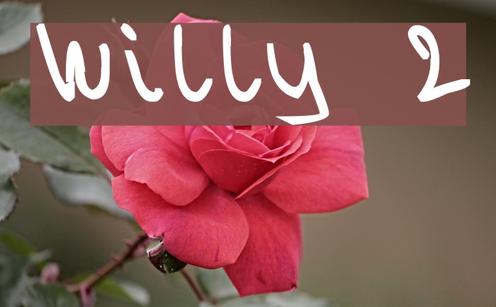 Willy 2 Шрифта examples