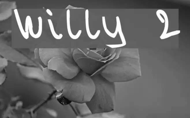 Willy 2 Font examples