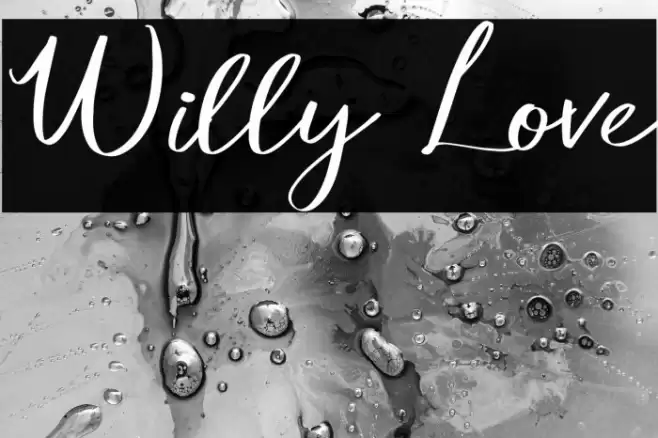 Willy Love Font examples