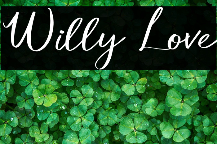 Willy Love Example 2