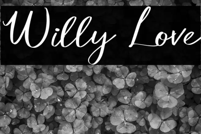 Willy Love Font examples