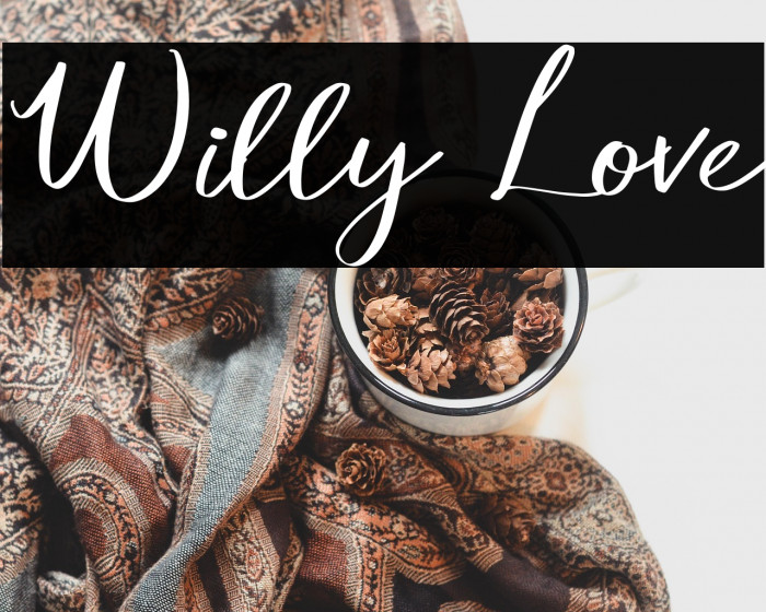 Willy Love Example 3