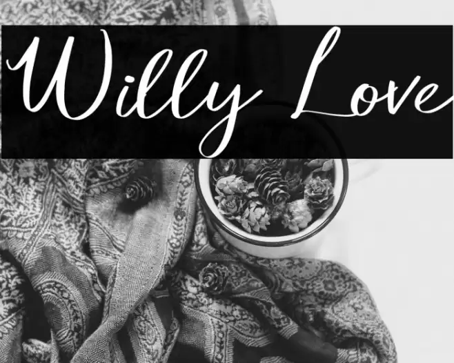 Willy Love Font examples