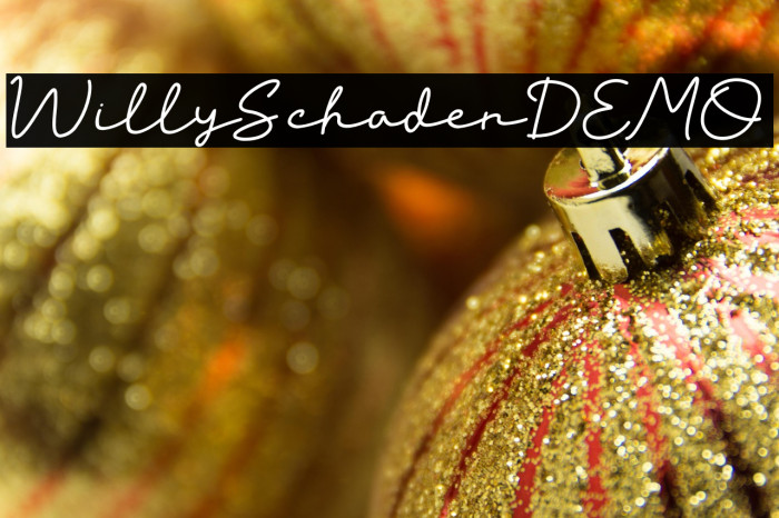 Willy Schaden DEMO Example 2