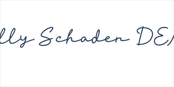 Willy Schaden DEMO Logo