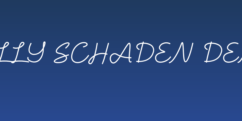 Willy Schaden DEMO Social Header