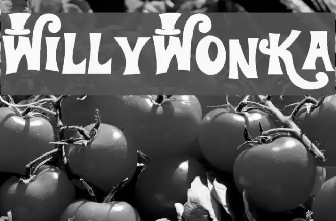 WillyWonka Font examples