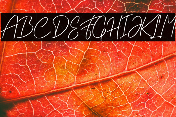 Willybery PERSONAL USE ONLY! Schriftart examples