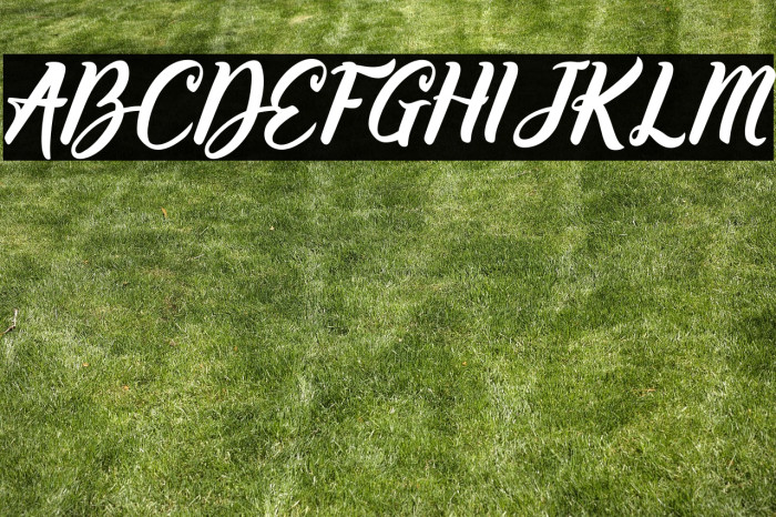 Willynta-Script Example 1