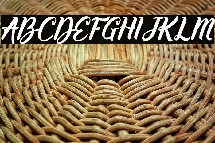 Willynta-Script Example 2