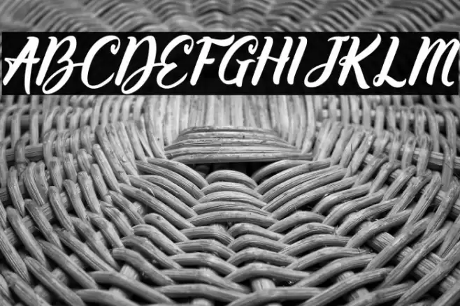 Willynta-Script Font examples