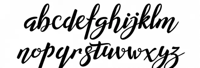 Willynta-Script Polices MINUSCULES