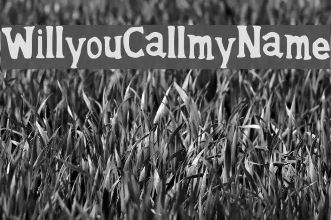 WillyouCallmyName Font examples