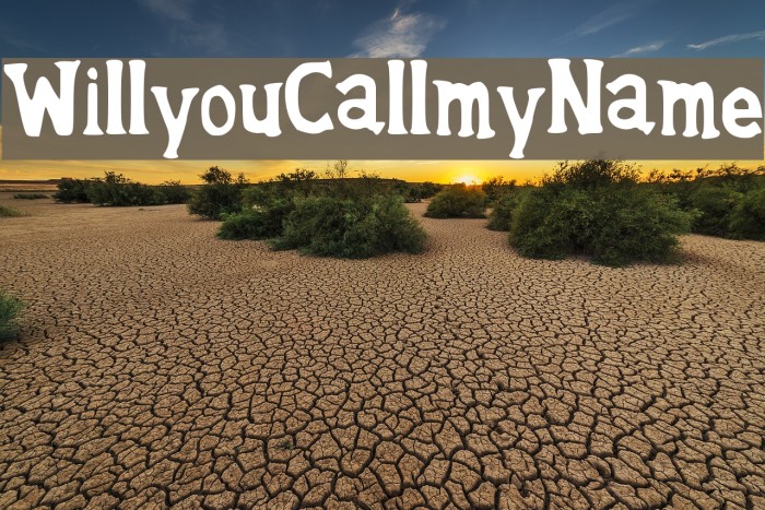 WillyouCallmyName Example 3