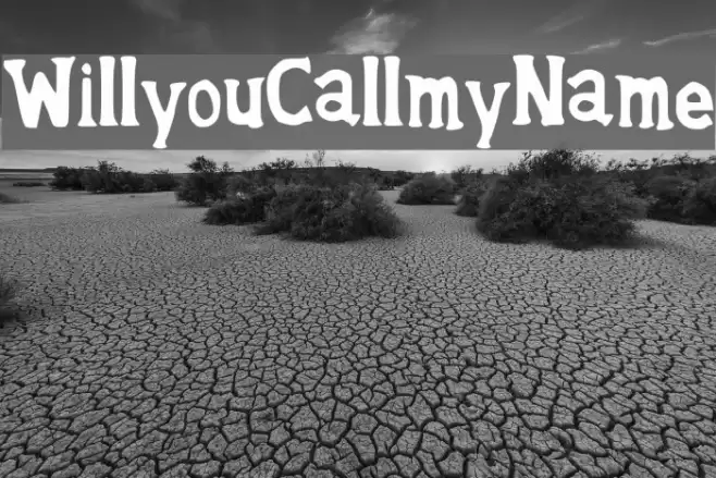 WillyouCallmyName Font examples