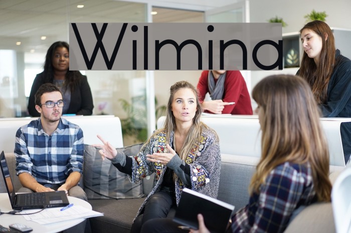 Wilmina Schriftart examples