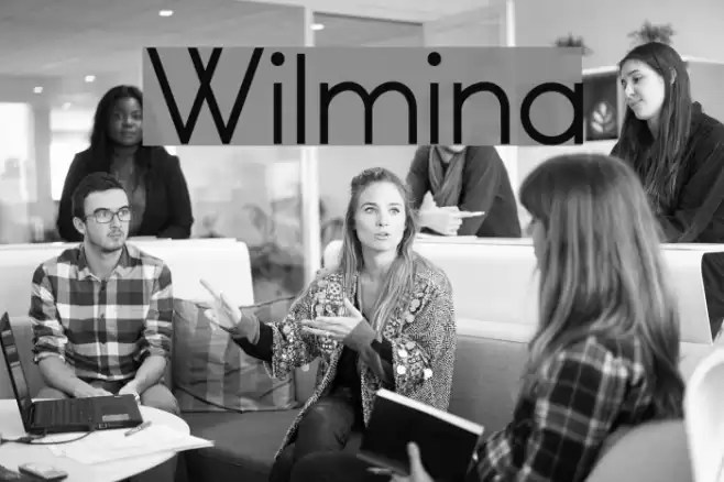 Wilmina Font examples