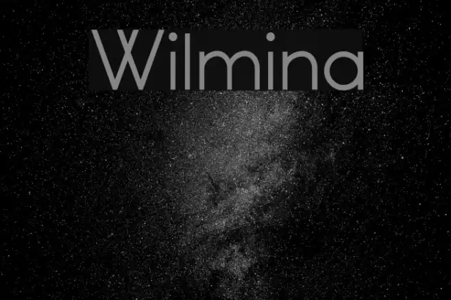 Wilmina Font examples