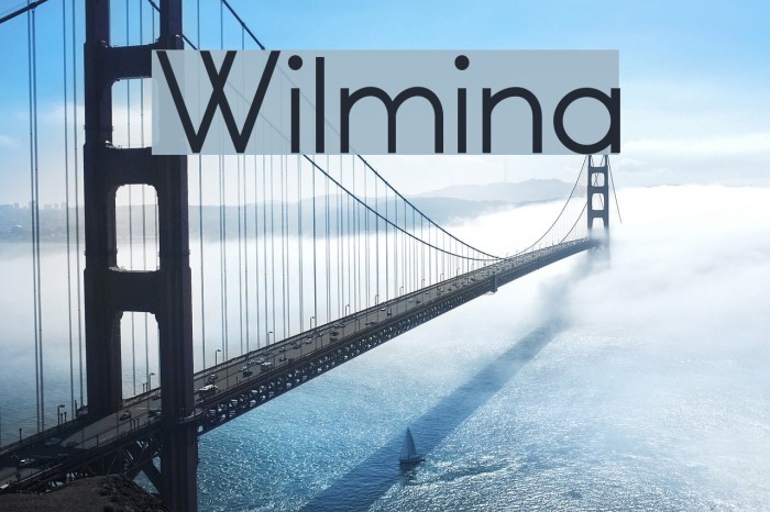 Wilmina Schriftart examples