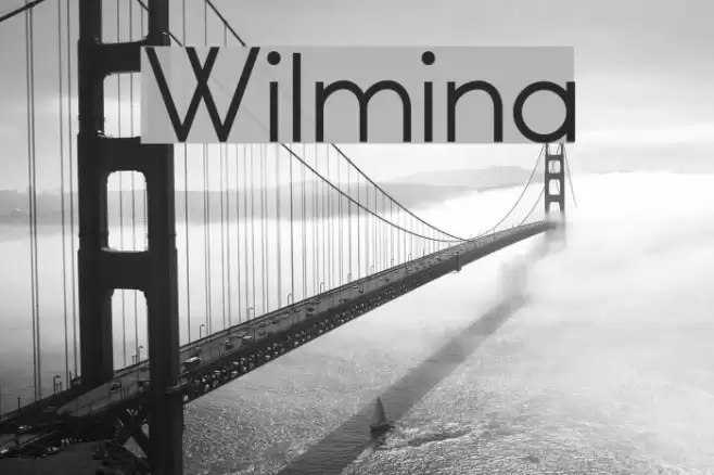 Wilmina Font examples
